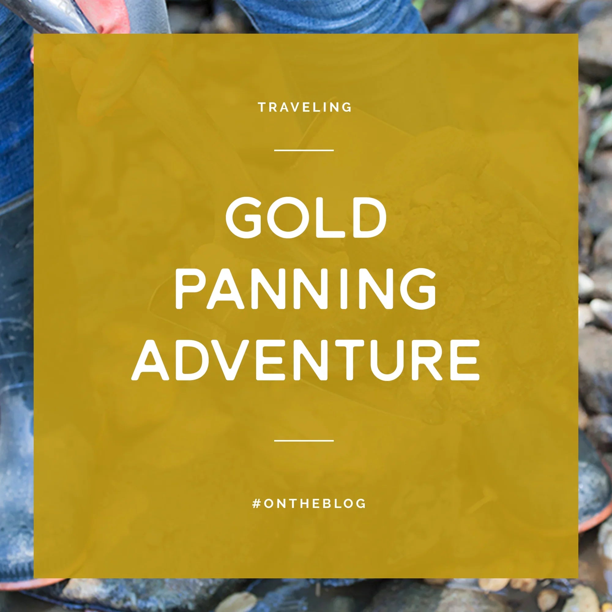 Gold panning adventure with person holding pan filled with sediment and gold in natural outdoor setting